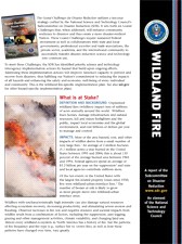 Wildland Fire Document Image