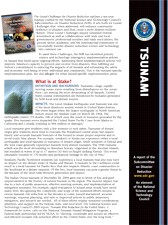 Tsunami Document Image